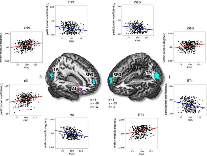 Figure 4.  Clusters of nodes where intelligence was significantly associated with both modularity-defining  dimensions (i.e., between-module and within-module connectivity; see also Table 2C)