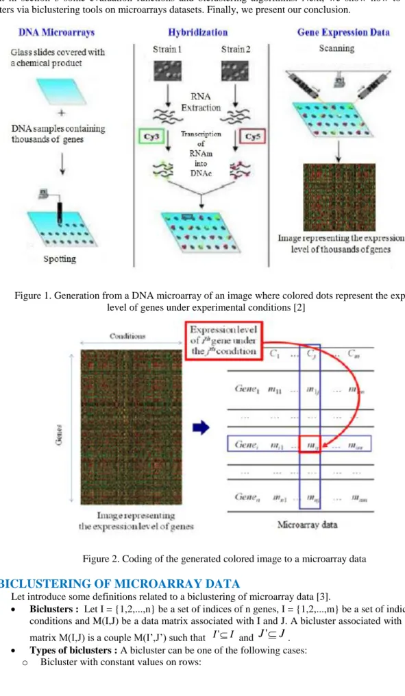 Figure 1. Generation from a DNA microarray of an image where colored dots represent the expression  level of genes under experimental conditions [2] 