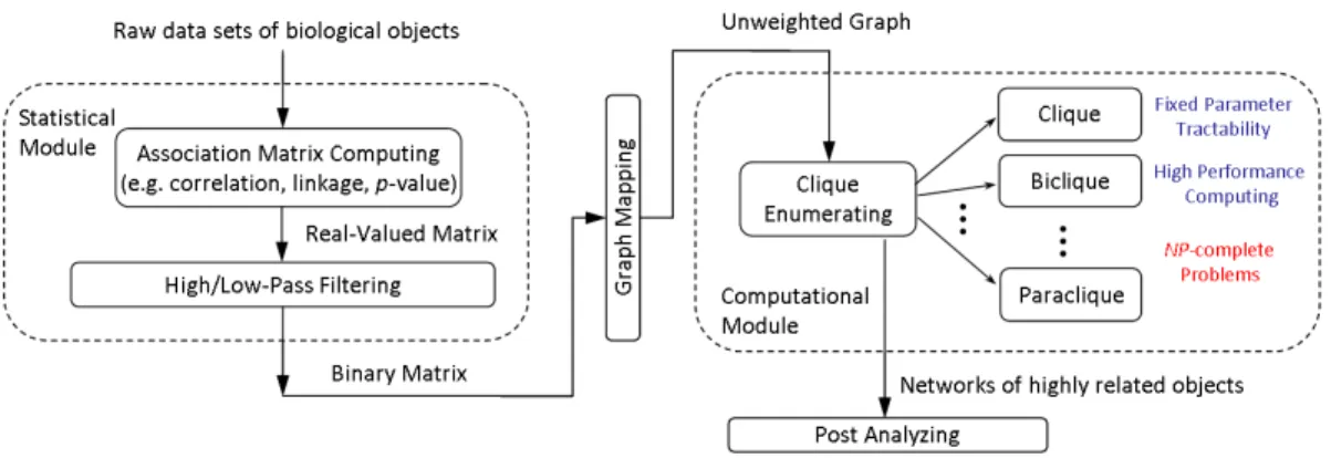 Figure 1.4: Clique and biclique enumeration algorithms in biological applications