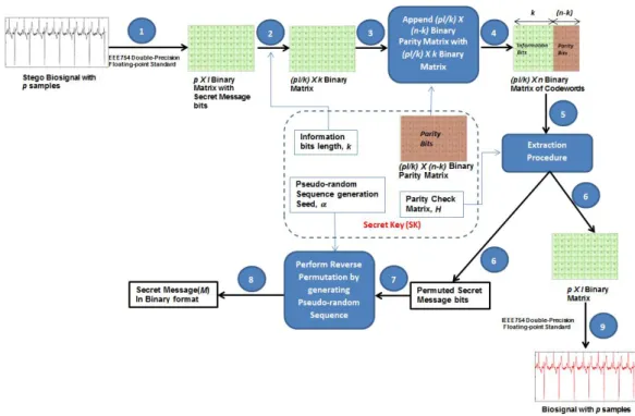 Figure 2.2: Overall View of the extraction and reconstruction procedure