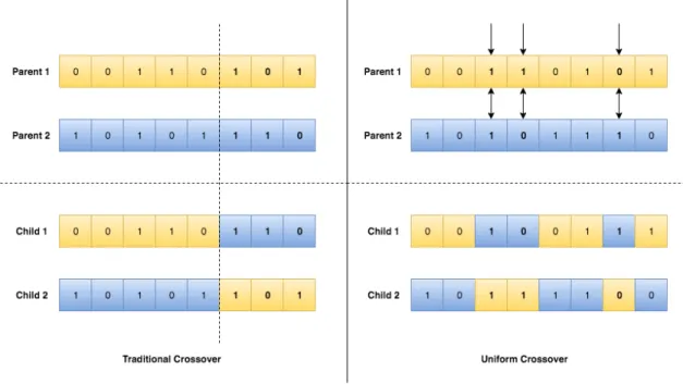 Figure 4. An example showing the Traditional Crossover against the Uniform Crossover. 