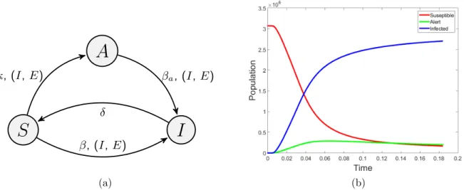 Figure 2.5: (a) Schematic of node-level transitions in the SAIS model (b) Simulation of SAIS spreading over a large-scale network