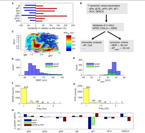 FIGURE 5 | Analysis of an in silico database of hiPSC-CMs. (A) Ranges of variability in ion current conductances based on literature search