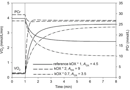 Figure 4. Simulated time course of muscle V̇ O2 and PCr during arest-to-moderate work transition for the reference state (solid line),parallel twofold increase in the resting (without ESA) OXPHOSactivity (kOX) and ESA intensity (AOX) (dashed line), and par
