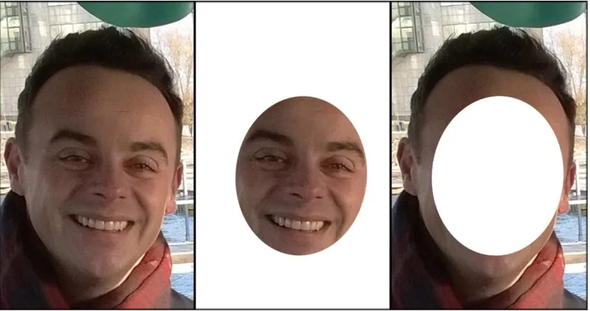 Figure 1. Example image of Anthony McPartlin (used in Experiment 2), showing ‘full’ 