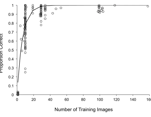 Figure 2. The proportion of correct recognitions of untrained novel face images using the 