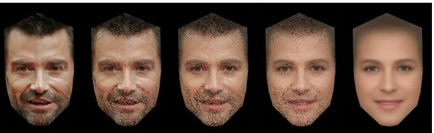 Figure 3. An illustration of the image degradation manipulation. A shape-standardised 