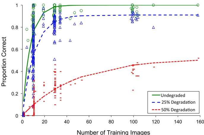 Figure 4. Effect of image degradation on recognition of untrained novel images, using 