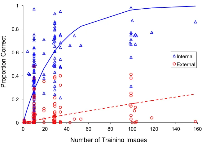 Figure 6. The proportion of correct recognitions of untrained novel face images from 