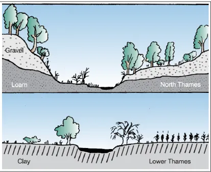 Figure 3. Typical cross-sections of the upper Thames River valley (top) and the lower Thames River valley (bottom) showing marked difference in topography (Upper Thames Conservation Authority, 1999)