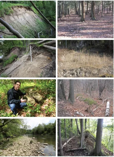 Figure 7. Some landforms in Komoka Provincial park (a) Top of valley bluff (view downstream), (b) Till bank of  Thames River (view upstream), (c) Boulder lag beginning more than 150 m away from Thames River channel (d) Pointbar of Thames River with boulder