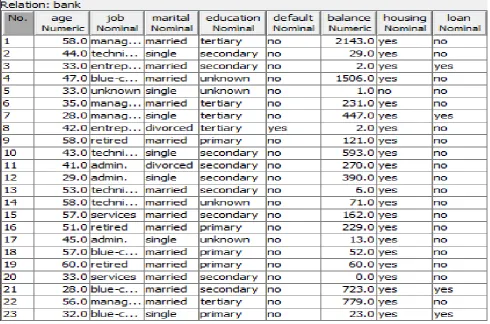 Fig. 1: Example of Data view 