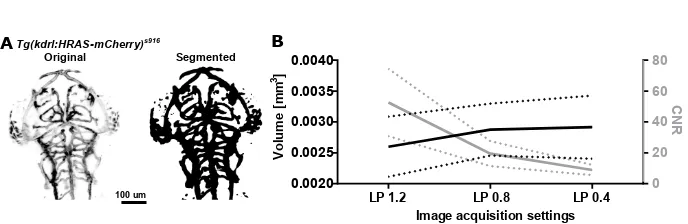 Fig. 6. (A) Intensity-based image binarization was found to eﬃciently segment thezebraﬁsh vasculature the transgenic reporter lines(B) tg(kdrl:HRAS-mCherry)s916 [22, 23]