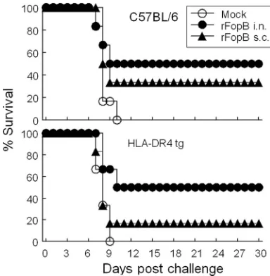 FIG. 8. Immune response induced in HLA-DR4 tg mice by intra-nasal rFopB immunization. (A) Spleens were collected at 14 days