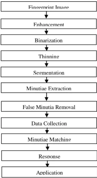 Figure 2. Procedures of Fingerprint Recognition System 