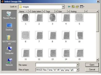Figure 3. Overall Diagram of Fingerprint       Authentication and Application 