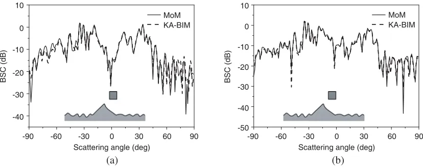 Figure 4. Scattering from a square above the PM sea with breaking wave (proﬁle 18). (a)V V HH