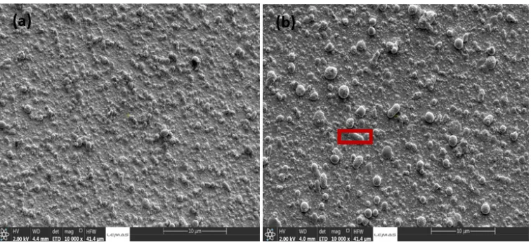 Fig. 1. SEM images of the Er-TZN glass NPs deposited on siloxane polymer-coated silica substrate at (a) 45 µJ (sample I) and (b) 60 µJ (sample II)