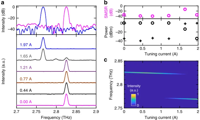 Fig. 2 Illustration of the experimental arrangement used for injection seeding of the coupled-cavity laser