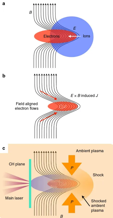 Figure 3(a) shows a schematic image of the plasma topology