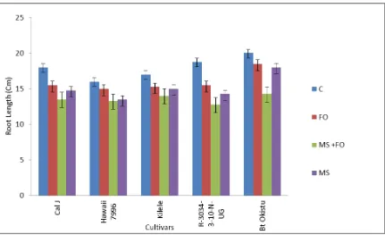 Figure 4.1:  Mean root length of tomato cultivars when subjected to F. oxysporum and Meloidogyne spp
