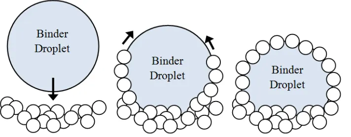 Figure 2-3: Formation of a liquid marble through solids spreading over a binder 