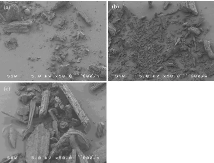 Figure 4-1 SEM images of a) cornstalk, b) biochar and c) miscanthus biochar 