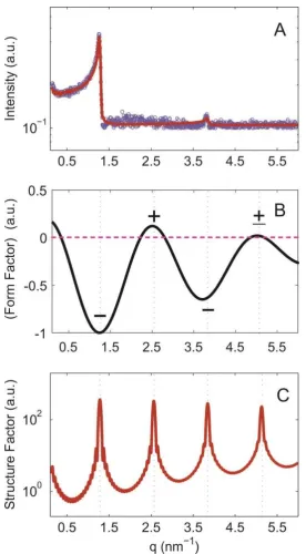 Figure 3. Global analysis of the SAXS data of the �-phase of CB at 20 °C. (A) Global fitting of the ‘pure’ �-phase contribution (cp
