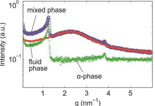Figure 2. Small angle scattering curves of CB in fluid phase (red) obtained at 20 ºC (directly (purpleafter the cooling ramp was completed) and the corresponding mixed fluid and �-polymorph ) obtained after 25 min at 20 ºC