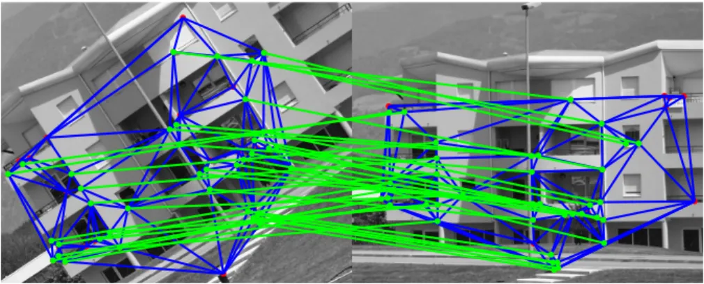 Figure 3: Superposed on the images there are the extracted graphs. Blue lines within each image represent the edges, generated by means of a Delaunay triangulation on the nodes