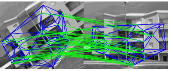 Fig. 2. The green lines are the result of applying our method using, as starting point, the tentative-set of figure 1(a)