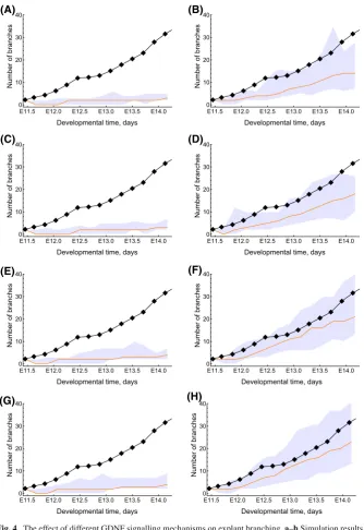 Fig. 4 The effect of different GDNF signalling mechanisms on explant branching.observed by model simulation (nwith the indicated mechanisms implemented, and correspond to cell distributions shown in the panels ofFig.an explant experiment in Watanabe and Co