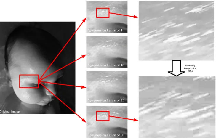 Figure 15: the effect of increasing the compression ration used when storing an  image in JPEG format
