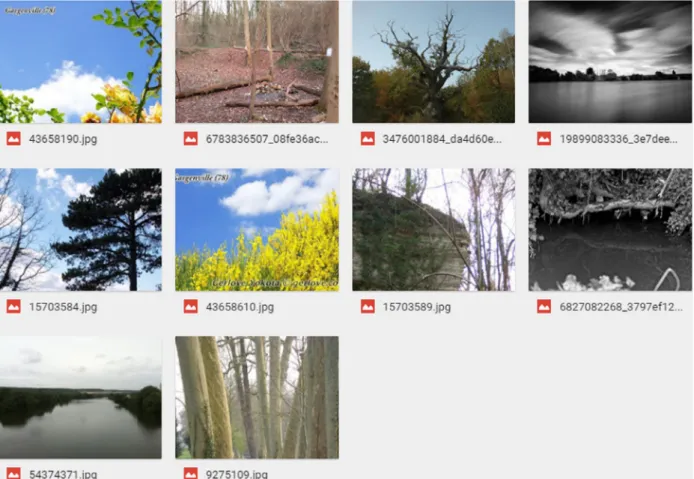 Figure 3. photographs mislabelled by the Dt method for identifying human impact in a landscape.