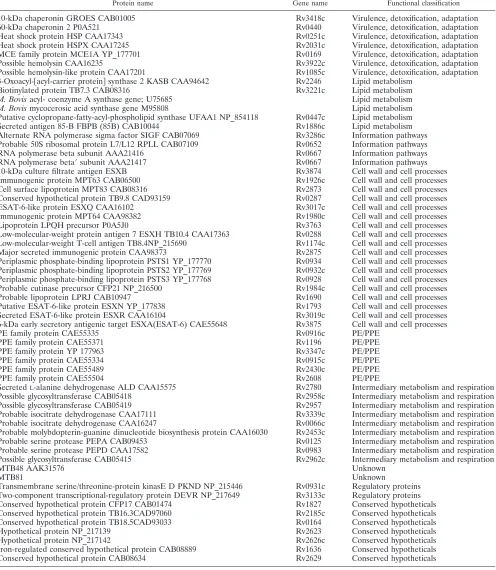 TABLE 1. M. tuberculosis proteins tested for MHC class II peptide binding