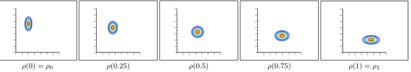 Fig 1 . Plot of the isolevels of the density ρ(t) along the optimal path between two densities of different mass.