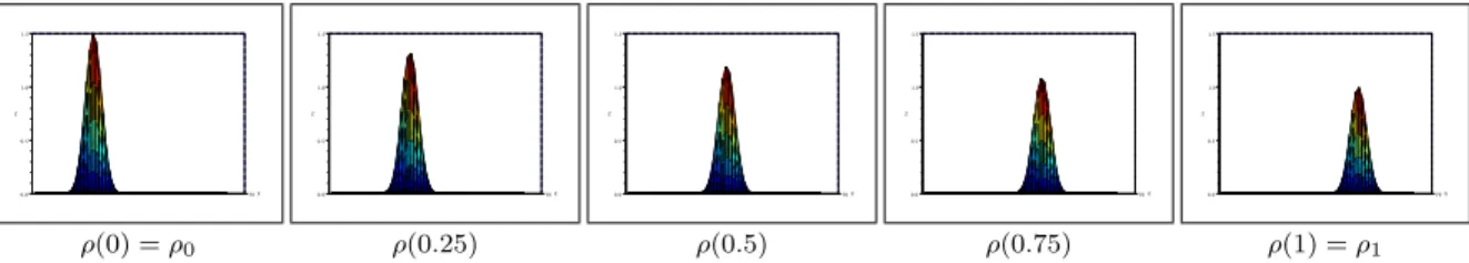 Fig 3 . Plot of the isolevels of the density ρ(t) along the optimal path between two densities of different mass.