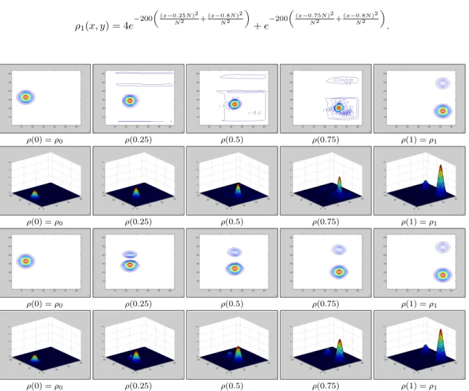 Fig 5 . Plot of the isolevels of the density ρ(t) along the optimal path between two densities of different mass