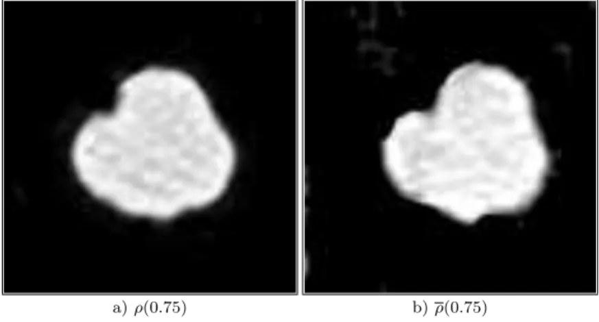 Fig 10 . Comparison between the interpolation at time t = 0.875, a), obtained by solving optimal transport between images (1 − 5) and the original image in grey scale b)