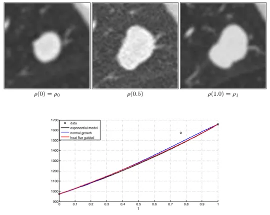 Fig 13 . Comparison between the interpolation at time t = 0.8, a), obtained by solving optimal transport between images (1 − 3) and the original image in grey scale b)