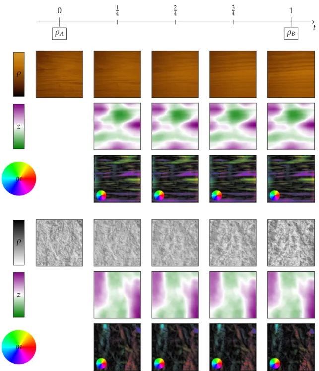 Figure 4.8: Generalized optimal transport geodesics between textures of wood (top) and marble (bottom) with corresponding source terms (positive values in purple and negative values in green) and momenta (color-code given by the wheel on the lower left, wh