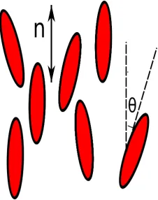 Figure 1.5: The distribution of molecular axes around the average alignment direction n .