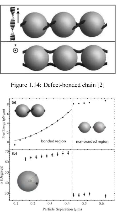 Figure 1.14: Defect-bonded chain [2]
