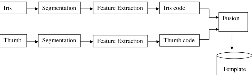 Fig. 2:  Proposed Multibiometric System   