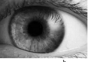 Fig. 3: (a) Original image, (b) Grey image.  
