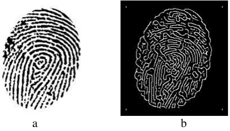 Fig 6(a) Original image, (b) Edge detected threshold image  