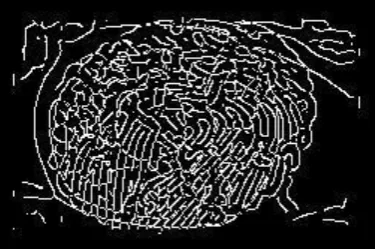 Fig 7: Fused image  