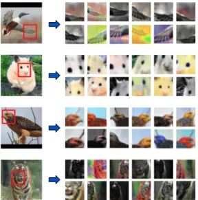 Figure 1: Examples of random transfor- transfor-mations applied to the patches extracted from the unlabeled set of STL-10
