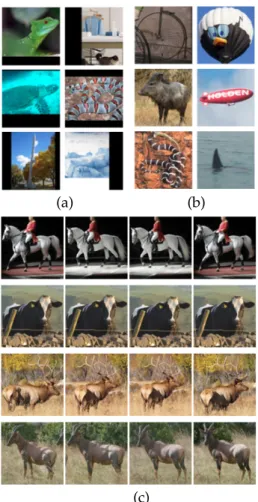 Figure 2: Examples of the challenges from STL-10. a) black borders artifacts; b)  out-of-distribution samples; c) near duplicates.