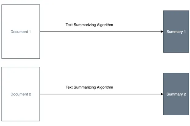 Figure 1: Single document Summarization